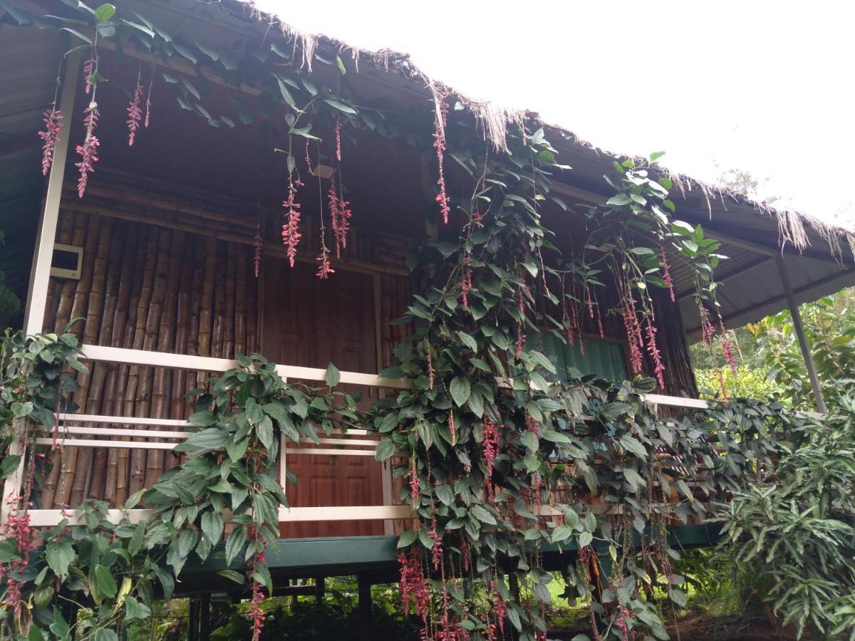 Koomankolly Resort Thirunelly Kültér fotó